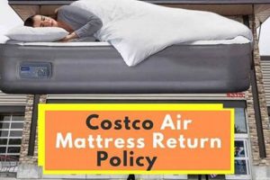 AirBed: Target Air Mattress Return Policy Guide [2024] | Organic & Natural Mattress Buyer’s Guide: Non-Toxic Sleep Solutions