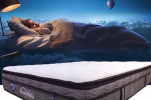 Spring Air Mattress Co: Sleep On Cloud Air | Organic & Natural Mattress Buyer’s Guide: Non-Toxic Sleep Solutions