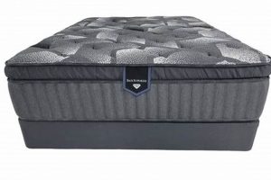 Best Spring Air Mattress for Back Support + Relief | Organic & Natural Mattress Buyer’s Guide: Non-Toxic Sleep Solutions