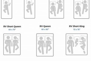 Find Your Perfect Queen Size Camper Mattress Dimensions Today Organic & Natural Mattress Buyer’s Guide: Non-Toxic Sleep Solutions Find Your Perfect Queen Size Camper Mattress Dimensions Today | Organic & Natural Mattress Buyer’s Guide: Non-Toxic Sleep Solutions