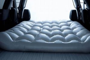 Car Comfort: Best Air Mattress for the Car On the Go! Organic & Natural Mattress Buyer’s Guide: Non-Toxic Sleep Solutions Car Comfort: Best Air Mattress for the Car On the Go! | Organic & Natural Mattress Buyer’s Guide: Non-Toxic Sleep Solutions
