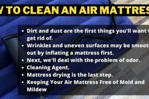 Air Care: How to Wash an Air Mattress + Tips Organic & Natural Mattress Buyer’s Guide: Non-Toxic Sleep Solutions Air Care: How to Wash an Air Mattress + Tips | Organic & Natural Mattress Buyer’s Guide: Non-Toxic Sleep Solutions