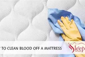 Quick & Easy: How to Clean Blood Off Mattress (Stain Guide) Organic & Natural Mattress Buyer’s Guide: Non-Toxic Sleep Solutions Quick & Easy: How to Clean Blood Off Mattress (Stain Guide) | Organic & Natural Mattress Buyer’s Guide: Non-Toxic Sleep Solutions