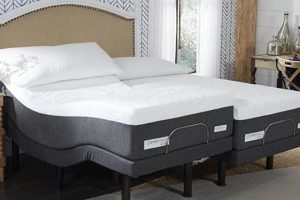 Buy Your King Size Bed & Mattress: Sleep Like a King! Organic & Natural Mattress Buyer’s Guide: Non-Toxic Sleep Solutions Buy Your King Size Bed & Mattress: Sleep Like a King! | Organic & Natural Mattress Buyer’s Guide: Non-Toxic Sleep Solutions