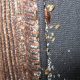Spotting Bed Bug Eggs on Mattress: Complete Guide & Tips | Organic & Natural Mattress Buyer’s Guide: Non-Toxic Sleep Solutions