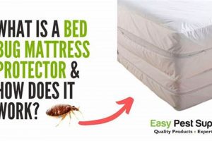 Do Bed Bug Mattress Covers *Really* Work? [Truth] | Organic & Natural Mattress Buyer’s Guide: Non-Toxic Sleep Solutions