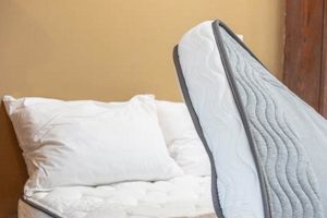 Best Hide a Bed Mattress Replacement: Comfort & Quality! Safem Fabrication - Precision Engineering & Custom Manufacturing Solutions Best Hide a Bed Mattress Replacement: Comfort & Quality! | Safem Fabrication - Precision Engineering & Custom Manufacturing Solutions