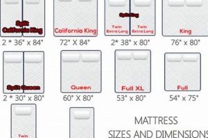 Understanding Split Queen Mattress Dimensions: A Guide Organic & Natural Mattress Buyer’s Guide: Non-Toxic Sleep Solutions Understanding Split Queen Mattress Dimensions: A Guide | Organic & Natural Mattress Buyer’s Guide: Non-Toxic Sleep Solutions