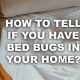 Bed Bug Check: How Can You Tell if a Mattress Has Bed Bugs? Fast! | Organic & Natural Mattress Buyer’s Guide: Non-Toxic Sleep Solutions