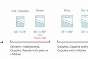 Tempur-Pedic Queen Mattress Dimensions: Size Guide & More! | Organic & Natural Mattress Buyer’s Guide: Non-Toxic Sleep Solutions