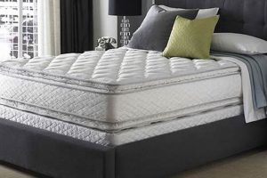 Best Double Bed Pillow Top Mattress: Comfort Guide Organic & Natural Mattress Buyer’s Guide: Non-Toxic Sleep Solutions Best Double Bed Pillow Top Mattress: Comfort Guide | Organic & Natural Mattress Buyer’s Guide: Non-Toxic Sleep Solutions