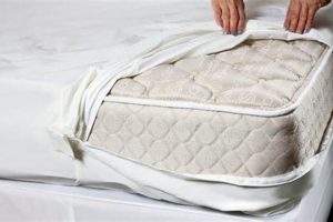 Bed Bug Proofing: Do Mattress Covers Prevent Bed Bugs? Organic & Natural Mattress Buyer’s Guide: Non-Toxic Sleep Solutions Bed Bug Proofing: Do Mattress Covers Prevent Bed Bugs? | Organic & Natural Mattress Buyer’s Guide: Non-Toxic Sleep Solutions
