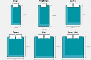 Find Bed Mattress Sizes Australia - Your Guide + Tips Organic & Natural Mattress Buyer’s Guide: Non-Toxic Sleep Solutions Find Bed Mattress Sizes Australia - Your Guide + Tips | Organic & Natural Mattress Buyer’s Guide: Non-Toxic Sleep Solutions