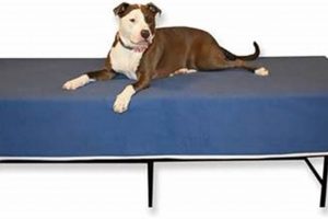 Best Dog Bed Mattress Extender: Size Up & Sleep Easy! Organic & Natural Mattress Buyer’s Guide: Non-Toxic Sleep Solutions Best Dog Bed Mattress Extender: Size Up & Sleep Easy! | Organic & Natural Mattress Buyer’s Guide: Non-Toxic Sleep Solutions