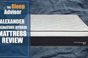Best Nest Bedding Alexander Hybrid: Signature Sleep! Organic & Natural Mattress Buyer’s Guide: Non-Toxic Sleep Solutions Best Nest Bedding Alexander Hybrid: Signature Sleep! | Organic & Natural Mattress Buyer’s Guide: Non-Toxic Sleep Solutions