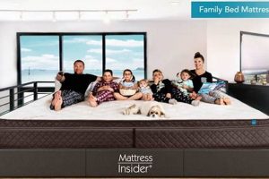 Best Family Bed Mattress [Guide] Sleep Soundly | Organic & Natural Mattress Buyer’s Guide: Non-Toxic Sleep Solutions