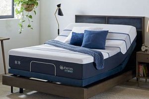 Best Mattress Firm Adjustable Beds: Comfort Sleep Guide Organic & Natural Mattress Buyer’s Guide: Non-Toxic Sleep Solutions Best Mattress Firm Adjustable Beds: Comfort Sleep Guide | Organic & Natural Mattress Buyer’s Guide: Non-Toxic Sleep Solutions