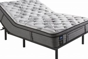 Best Adjustable Bed Mattress Queen [Comfort & Support] | Organic & Natural Mattress Buyer’s Guide: Non-Toxic Sleep Solutions
