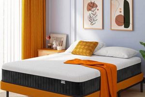 Find Your Perfect Double Bed with Mattress: Buying Guide Organic & Natural Mattress Buyer’s Guide: Non-Toxic Sleep Solutions Find Your Perfect Double Bed with Mattress: Buying Guide | Organic & Natural Mattress Buyer’s Guide: Non-Toxic Sleep Solutions