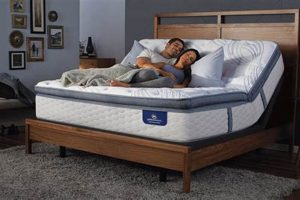 Adjustable Bed Mattress: Do You Need a Special One? Guide Organic & Natural Mattress Buyer’s Guide: Non-Toxic Sleep Solutions Adjustable Bed Mattress: Do You Need a Special One? Guide | Organic & Natural Mattress Buyer’s Guide: Non-Toxic Sleep Solutions