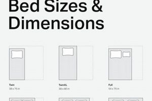 Double Mattress Dimensions Inches: The Complete Guide Organic & Natural Mattress Buyer’s Guide: Non-Toxic Sleep Solutions Double Mattress Dimensions Inches: The Complete Guide | Organic & Natural Mattress Buyer’s Guide: Non-Toxic Sleep Solutions