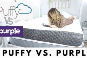 Puffy vs Purple Mattress: Which is Best For *You*? Safem Fabrication - Precision Engineering & Custom Manufacturing Solutions Puffy vs Purple Mattress: Which is Best For *You*? | Safem Fabrication - Precision Engineering & Custom Manufacturing Solutions