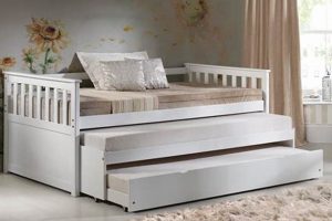 Best Pull Out Bed Mattress: Buying Guide + Tips Organic & Natural Mattress Buyer’s Guide: Non-Toxic Sleep Solutions Best Pull Out Bed Mattress: Buying Guide + Tips | Organic & Natural Mattress Buyer’s Guide: Non-Toxic Sleep Solutions