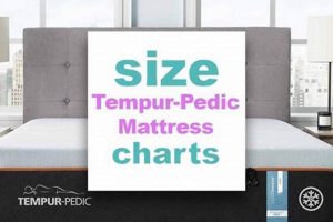 Tempur-Pedic Dimensions Guide: Find Your Perfect Size Mattress Organic & Natural Mattress Buyer’s Guide: Non-Toxic Sleep Solutions Tempur-Pedic Dimensions Guide: Find Your Perfect Size Mattress | Organic & Natural Mattress Buyer’s Guide: Non-Toxic Sleep Solutions