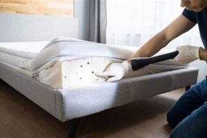 Bed Bug Rust Stains on Mattress: Spotting & Removal Tips | Organic & Natural Mattress Buyer’s Guide: Non-Toxic Sleep Solutions