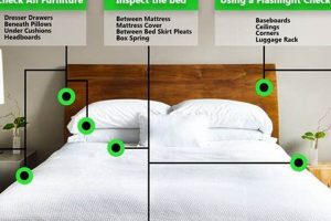 Bed Bug Guide: How to Check for Bed Bugs on Mattress Fast! Organic & Natural Mattress Buyer’s Guide: Non-Toxic Sleep Solutions Bed Bug Guide: How to Check for Bed Bugs on Mattress Fast! | Organic & Natural Mattress Buyer’s Guide: Non-Toxic Sleep Solutions