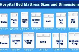 Hospital Bed Mattress Size: Dimensions & Beyond! | Organic & Natural Mattress Buyer’s Guide: Non-Toxic Sleep Solutions