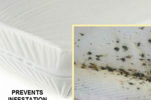 Best Bed Bug Proof Mattress: Complete Protection Guide | Organic & Natural Mattress Buyer’s Guide: Non-Toxic Sleep Solutions