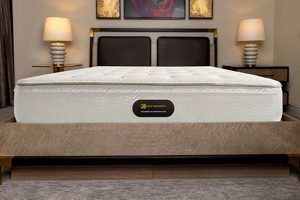 Maximize Space: Bay Bed and Mattress Designs for You! Organic & Natural Mattress Buyer’s Guide: Non-Toxic Sleep Solutions Maximize Space: Bay Bed and Mattress Designs for You! | Organic & Natural Mattress Buyer’s Guide: Non-Toxic Sleep Solutions