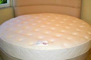 Best Round Mattress Bedding Sets: Enhance Your Bed! Organic & Natural Mattress Buyer’s Guide: Non-Toxic Sleep Solutions Best Round Mattress Bedding Sets: Enhance Your Bed! | Organic & Natural Mattress Buyer’s Guide: Non-Toxic Sleep Solutions