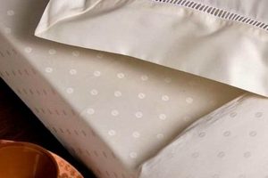 Bed Bug Defense: Can Mattress Covers Stop Bed Bugs Now? | Organic & Natural Mattress Buyer’s Guide: Non-Toxic Sleep Solutions