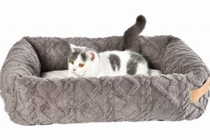 Best Cat Bed Mattress: Comfy Beds & More! | Organic & Natural Mattress Buyer’s Guide: Non-Toxic Sleep Solutions