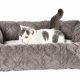 Best Cat Bed Mattress: Comfy Beds & More! | Organic & Natural Mattress Buyer’s Guide: Non-Toxic Sleep Solutions