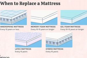 Bed Mattress Lifespan: How Long Should a Bed Mattress Last? Tips &amp; Guide | Organic & Natural Mattress Buyer’s Guide: Non-Toxic Sleep Solutions