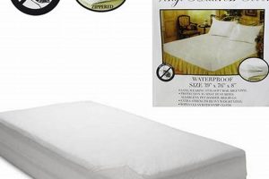 Best Mattress Covers Bed Bug Proof: Protect Your Sleep! | Organic & Natural Mattress Buyer’s Guide: Non-Toxic Sleep Solutions