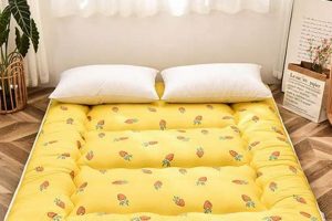 Best Floor Bed Mattress [Guide] - Sleep Soundly! | Organic & Natural Mattress Buyer’s Guide: Non-Toxic Sleep Solutions