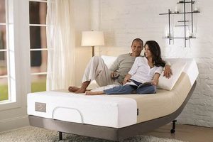 Sealy Adjustable Bed: Smart Mattress Comfort + Deals Organic & Natural Mattress Buyer’s Guide: Non-Toxic Sleep Solutions Sealy Adjustable Bed: Smart Mattress Comfort + Deals | Organic & Natural Mattress Buyer’s Guide: Non-Toxic Sleep Solutions