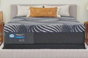 Macon Beds & Mattresses: Sleep Better in Macon! Organic & Natural Mattress Buyer’s Guide: Non-Toxic Sleep Solutions Macon Beds & Mattresses: Sleep Better in Macon! | Organic & Natural Mattress Buyer’s Guide: Non-Toxic Sleep Solutions