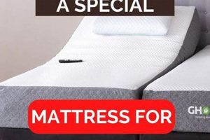 Adjustable Bed Mattress: Do You Need Special? + Tips | Organic & Natural Mattress Buyer’s Guide: Non-Toxic Sleep Solutions