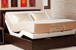 Best Queen Adjustable Bed & Mattress [Guide & Reviews] | Organic & Natural Mattress Buyer’s Guide: Non-Toxic Sleep Solutions