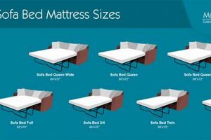 Best Sofa Bed Mattress Size: Your Comfort Guide Organic & Natural Mattress Buyer’s Guide: Non-Toxic Sleep Solutions Best Sofa Bed Mattress Size: Your Comfort Guide | Organic & Natural Mattress Buyer’s Guide: Non-Toxic Sleep Solutions