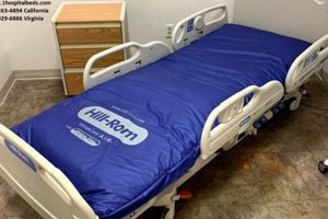 Best Hospital Bed Air Mattress: Comfort & Support | Organic & Natural Mattress Buyer’s Guide: Non-Toxic Sleep Solutions