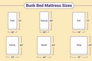 Bunk Bed Bliss: What Size Mattress? Find Your Perfect Fit! | Organic & Natural Mattress Buyer’s Guide: Non-Toxic Sleep Solutions