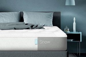 Casper Twin XL Mattress: Is It Right For You? Organic & Natural Mattress Buyer’s Guide: Non-Toxic Sleep Solutions Casper Twin XL Mattress: Is It Right For You? | Organic & Natural Mattress Buyer’s Guide: Non-Toxic Sleep Solutions
