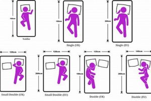Youth Bed Mattress Size Guide: Find the Perfect Fit! | Organic & Natural Mattress Buyer’s Guide: Non-Toxic Sleep Solutions