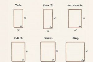 RV Bed: Bunk Mattress Size Guide + Dimensions Organic & Natural Mattress Buyer’s Guide: Non-Toxic Sleep Solutions RV Bed: Bunk Mattress Size Guide + Dimensions | Organic & Natural Mattress Buyer’s Guide: Non-Toxic Sleep Solutions